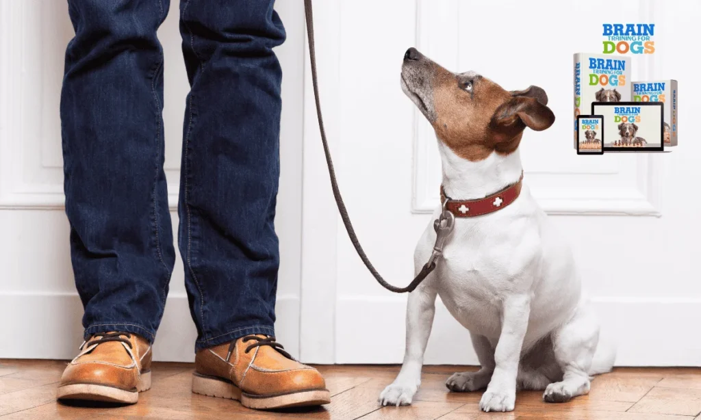 Brain Training For Dogs by Adrienne Farricelli